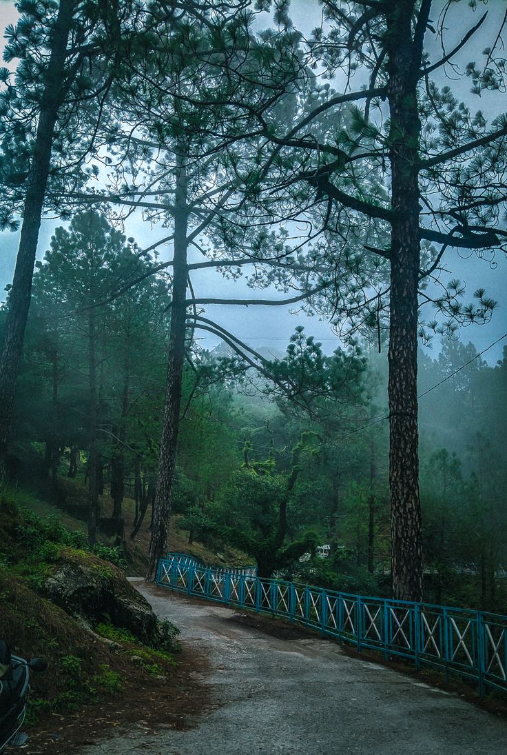 Leisure Time & Lansdowne to Delhi